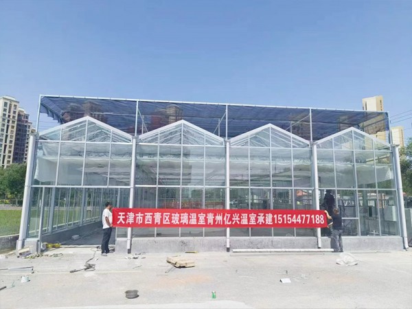 天津市西青區玻璃溫室